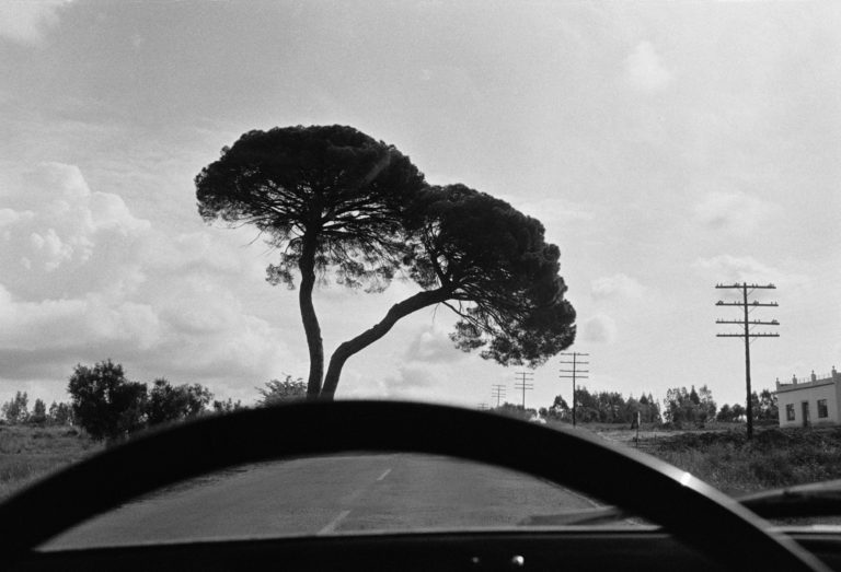 Imagen de Joel Meyerowitz. Entre Sevilla y Córdoba. España. 1967